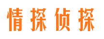 龙胜市侦探公司